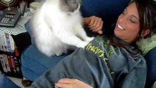 Cat Does Breast Exams Cat Does Breast Exams