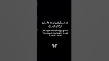 لمن الملك اليوم |سورة غافر |محمد اللحيدان| كروما قرآن خلفية سوداء chroma quran|#quran
