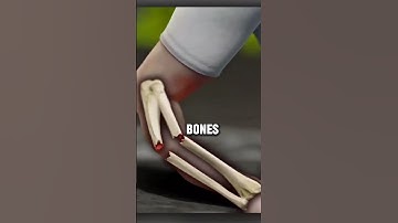 China’s 3-Minute Bone Glue