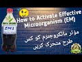 How to activate effective microorganism em