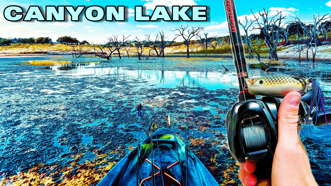 Fishing ENDLESS Grass In A CANYON LAKE