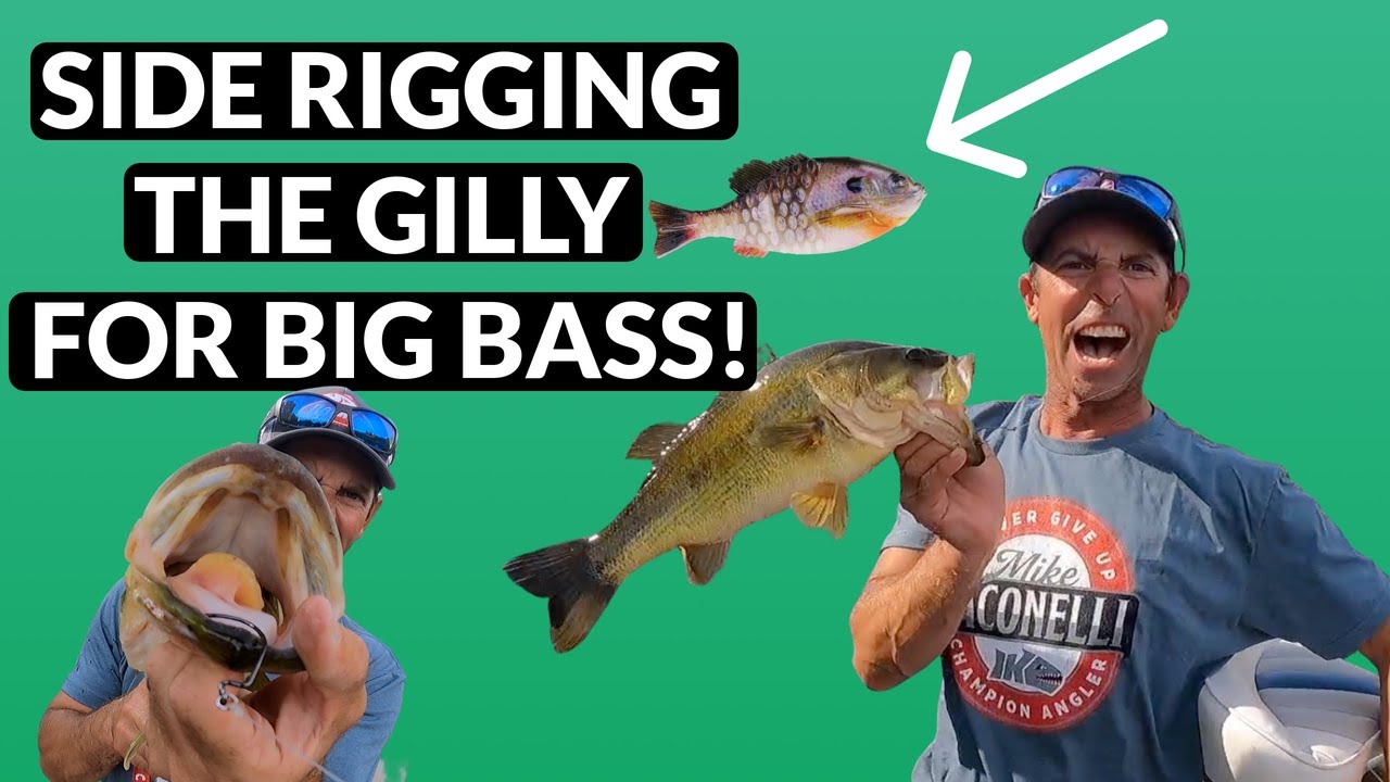 Side Rigging The Gilly For Big Bass! 