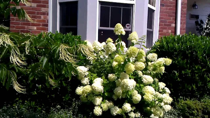 Trilogy Garden Club Tour Suzanne Kalish July 2013 II