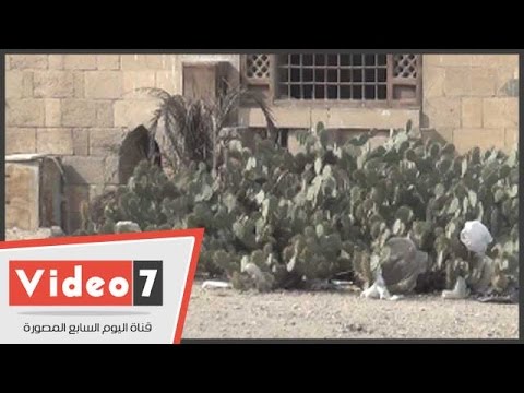 بالفيديو جامع قرقماس يستغيث من إهمال وزارة الأثار والخارجين عن القانون