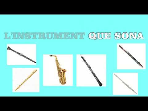 Vídeo: Què Són Els Instruments De Vent De Fusta
