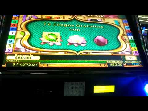 Casino Royale Car Chase