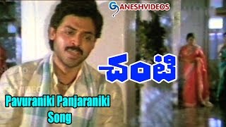 Chanti Songs - Pavuraniki Panjaraniki - Daggubati Venkatesh, Meena - Ganesh Videos