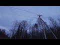 На тягу за вальдшнепом 2019