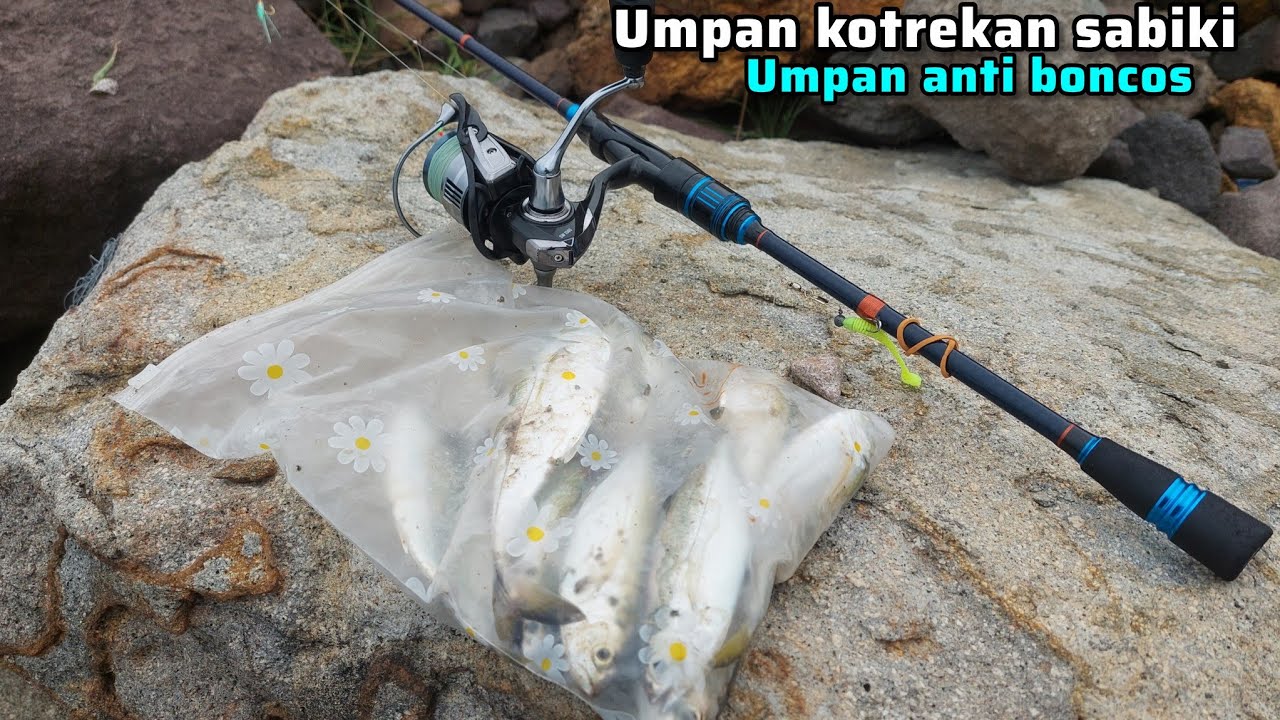 Mancing pinggiran laut umpan kotrekan sabiki memang mantab