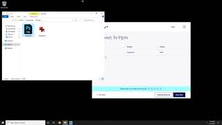 Convert PSB to PPM