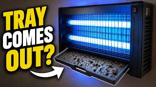 Is This Giant Bug Zapper The Best Way To Kill Mosquitoes