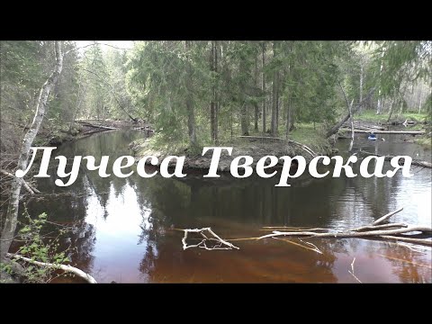 Видео: Сплав по Лучесе Тверской 27.04 - 2.05.24