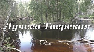 Сплав по Лучесе Тверской 27.04  2.05.24