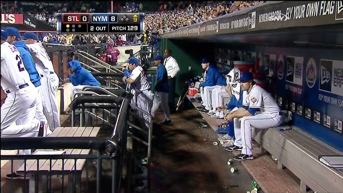 GOOSEBUMPS! Every Out of Johan Santana's No-Hitter 