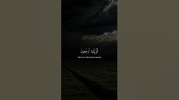 اكتب شيء تؤجر علية ❤️ القارئ قران كريم عبد الرحمن مسعد