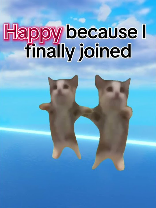 CAT MEME TREND IN ROBLOX - YouTube