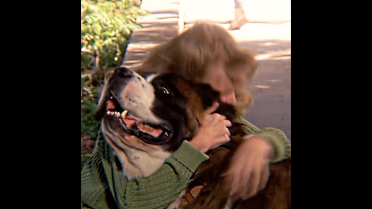 The dog has been protecting the children all along 