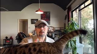 美国财长说“中国是世界上最失衡的经济体”:从居民可支配收入占GDP比例,四十年下降20%说起|格隆汇|通缩|消费不振|