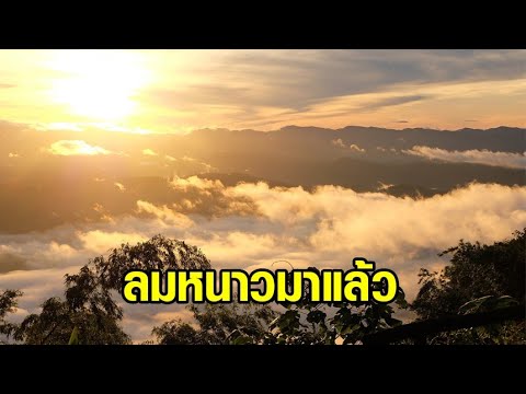 วีดีโอ: มีลมกี่ลมและพัดอย่างไร