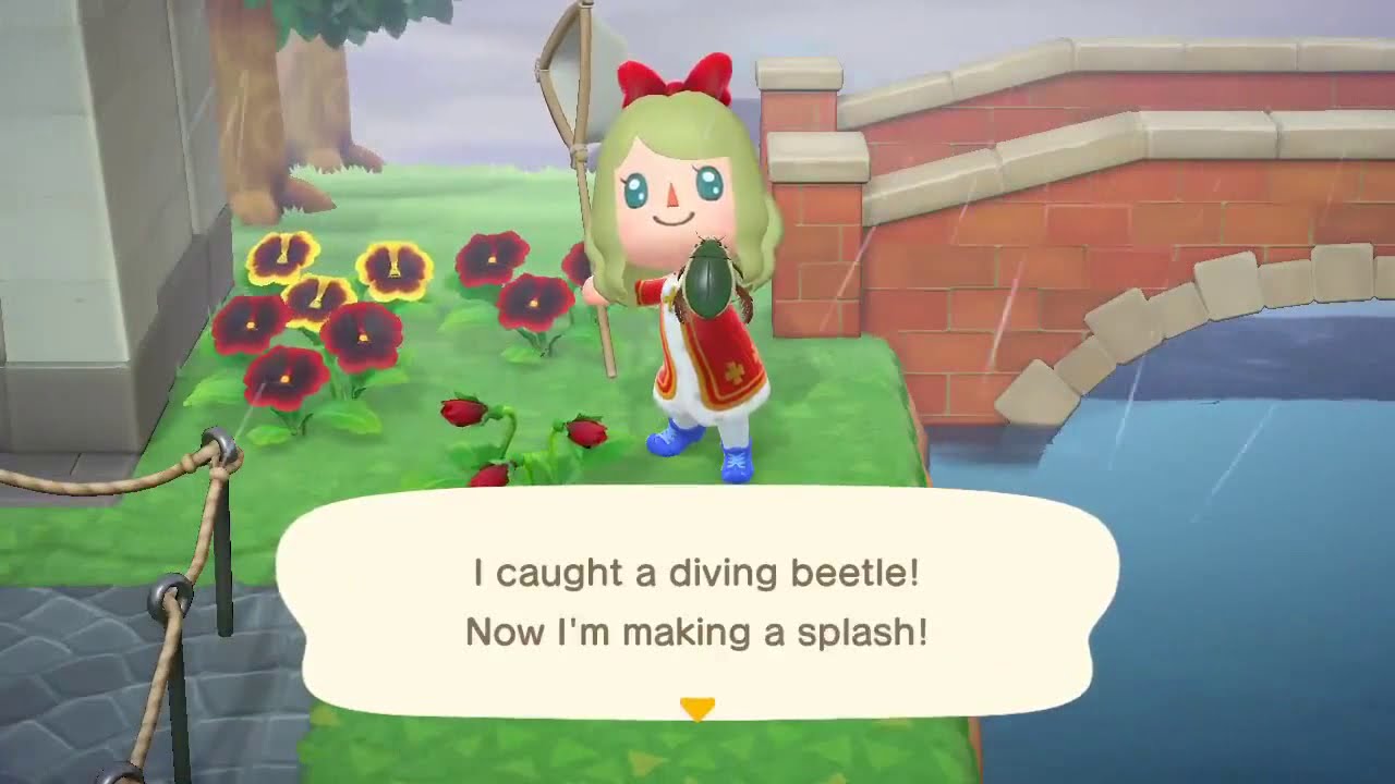 Catching a diving beetle for the first time in Animal Crossing New