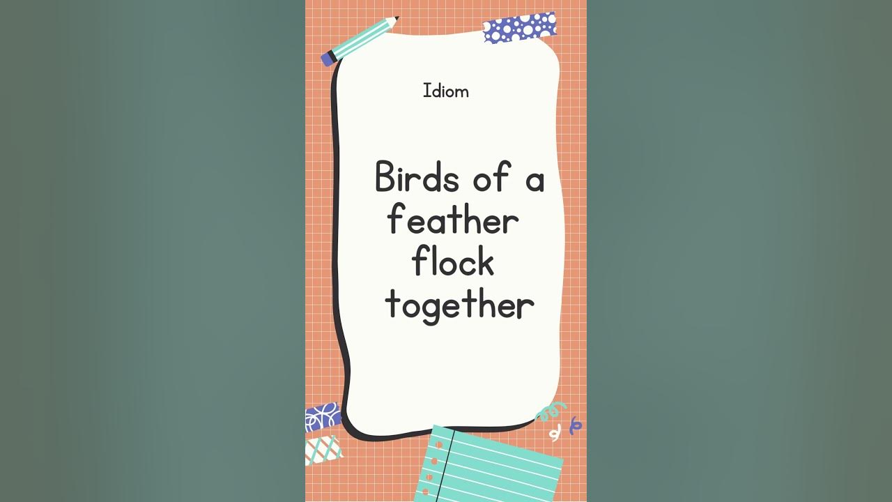 English Idiom | Birds of a feather flock together #shorts #