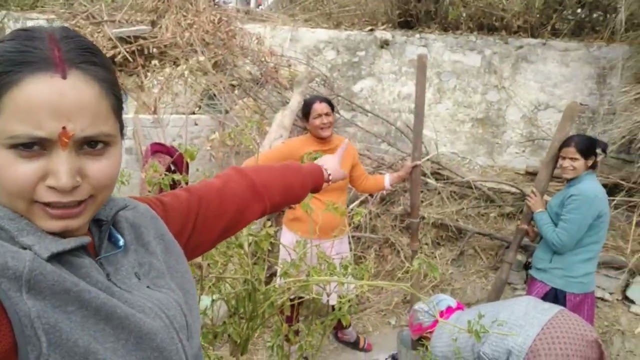 हमने बनाया आज कलेवा (अरसे) दीदी लोगों के लिए। हमारा पहाड़ी रिवाज 😊🏕️ हमारी संस्कृति 😊🙏