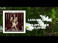 Lana Del Rey - Wildflower Wildfire (In 432Hz)