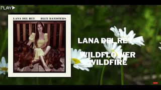 Lana Del Rey - Wildflower Wildfire (In 432Hz)