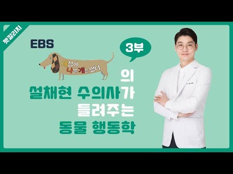 설채현 수의사의 동물행동학 3/4 - 펫칼리지2차 공개강의