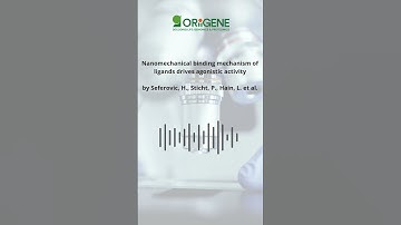 🧬 Why does ligand mechanics matter in immune activation?