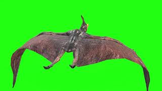 Pterodactyl Fly Front & Back | Green Screen 3D Animation Video