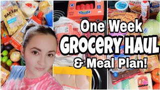 GROCERY HAUL & MEAL PLAN | One Week Grocery Haul | HEB Haul With Prices | WEEKLY MEAL PLAN