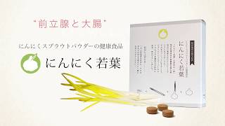 特に前立腺と大腸、にんにくスプラウトパウダーの健康食品 #にんにく若葉　商品説明