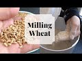 Grinding Wheat Into Flour - Skills Every Homesteader Needs To Know Ep 02