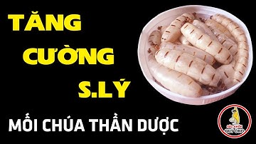 Yếu Sinh Lý Đến Mấy Cũng Phải Hết Nhờ Con "Mối Chúa" Siêu To Khổng Lồ, Sức Khỏe Qúy Ông