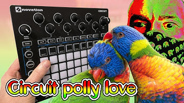 Beginers Guide To Time Signature Polyrhythm Polymeter and 16 Step Sequencers