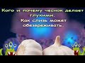 Кого и почему чеснок делает глухими. Как слизь может обезвреживать.