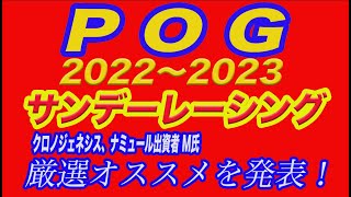 【 POG 2022〜2023 】サンデーレーシング！クロノジェネシス、ナミュール出資者M氏がオススメ厳選馬を発表！