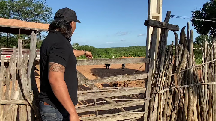 LOPIM DA UM BODE A CHARLLES E TOMA DE VOLTA, OH BICHO SUVINO 😂 | COMÉDIA SELVAGEM ®