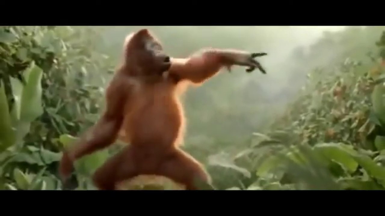 Танцующая обезьянка песня. Танцующая обезьяна. Обезьяна танцует. Шимпанзе танцует. Обезьяна пляшет.