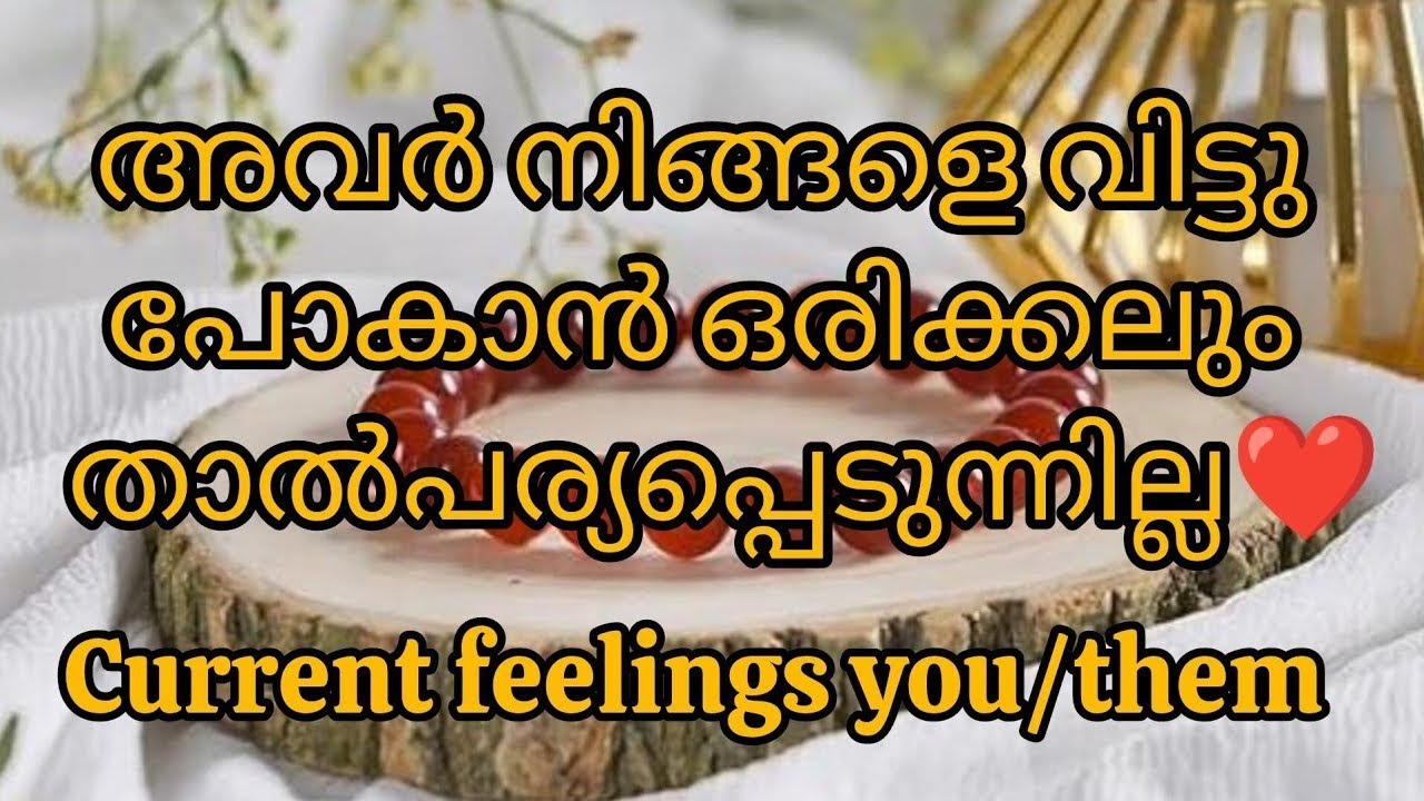 അവരുടെ മനസ്സിലൂടെ കടന്നുപോകുന്ന ചിന്തകൾ എന്തെല്ലാമാണ് എന്നറിയാം #tarot #astrology