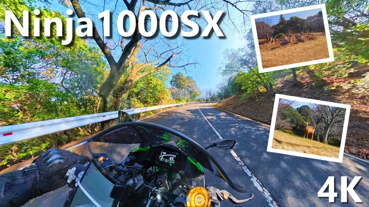 【Ninja1000SX】若草山の頂上までのんびり走る【4K】