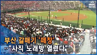 부산 갈매기 '떼창'..