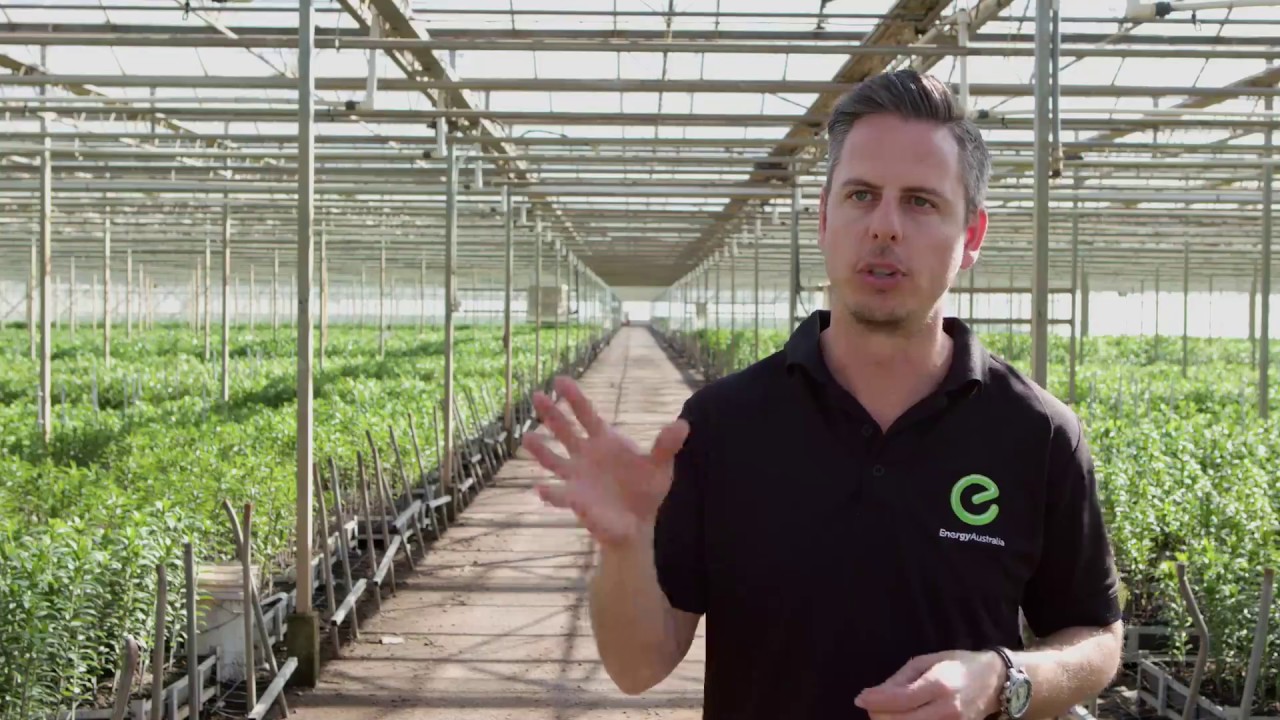 Solar For Your Business