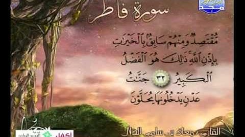 سورة فاطر 22 الى 45 ـــ معاذ سامى الدلال