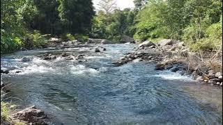 PEMANDANGAN SUNGAI LENGKAYAP