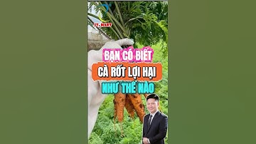 BẠN CÓ BIẾT CÀ RỐT LỢI HẠI NHƯ THẾ NÀO