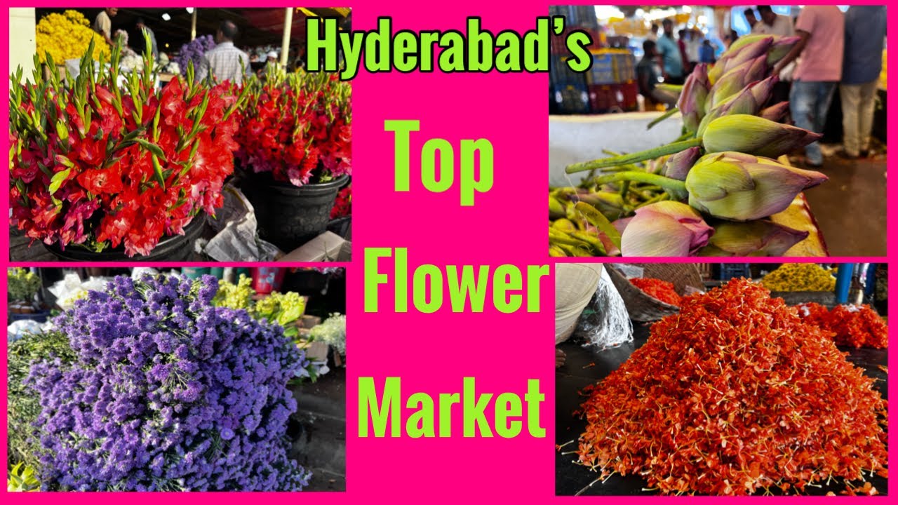 Hyderabad’s Biggest Flower Market।Gudimalkapur।wholesale Flower Market