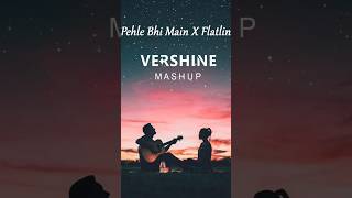 Out Now..!!#vershine #pehlebhimain #vishalmishra #blanke #flatline #ranbirkapooranimal #trending #yt