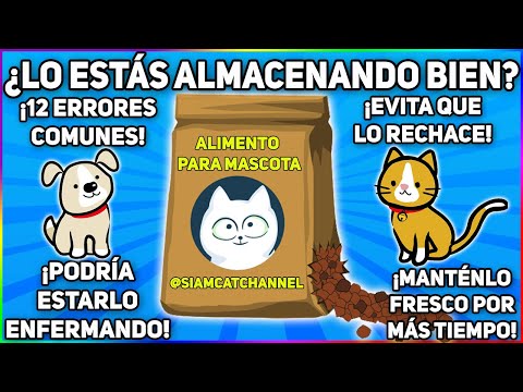 Video: La Mejor Manera De Mantener Fresca La Comida De Su Mascota